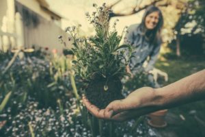 7 Beneficios saludables de instalar jardineras a medida